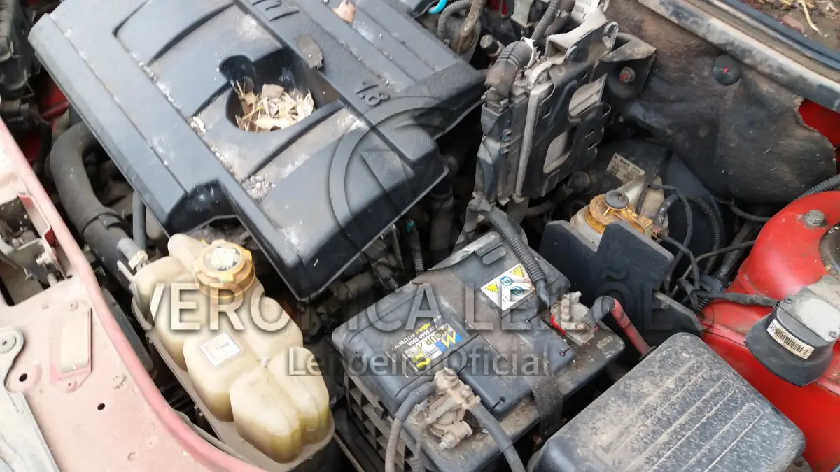 LOTE 002 - FIAT PALIO WEEKEND 2005/2006