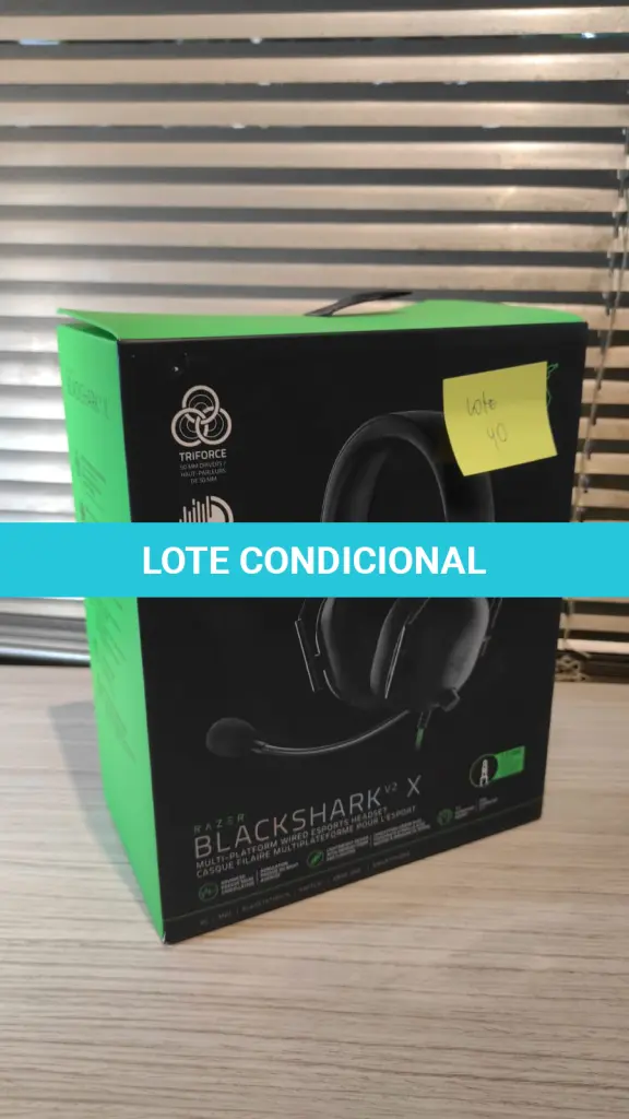 LOTE 040