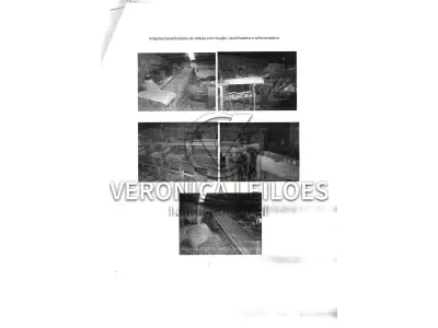 LOTE 001 - MAQUINA BENEFICIADORA DE CEBOLA