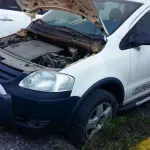 LOTE 001 - Cross Fox