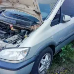 LOTE 002 - Zafira