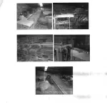 LOTE 001 - MAQUINA BENEFICIADORA DE CEBOLA